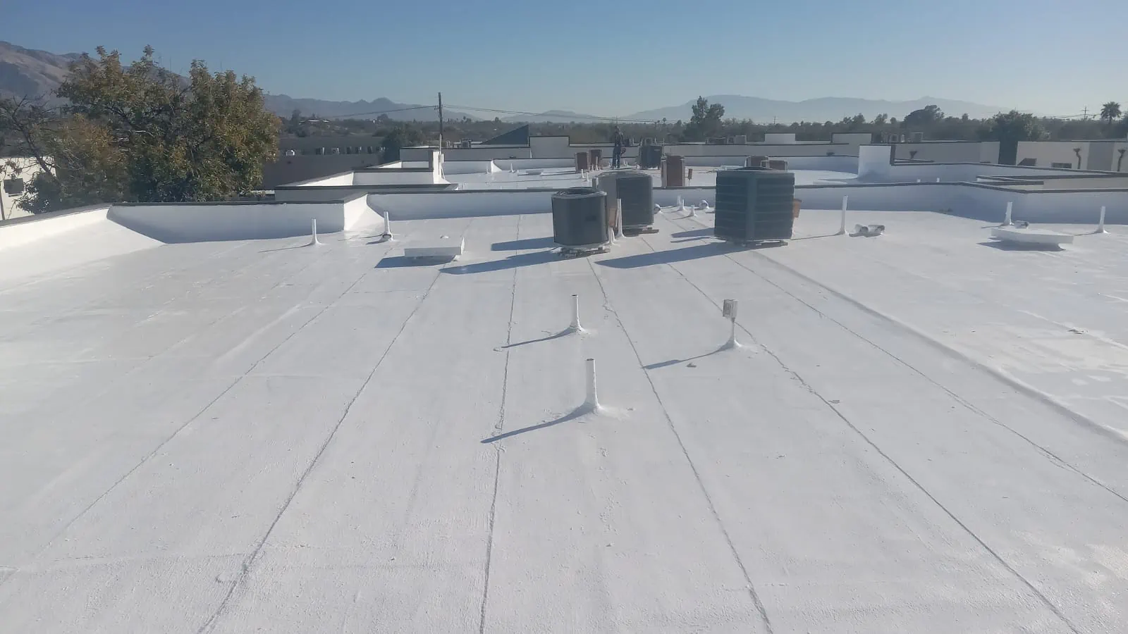foam roof that will last a long time with maintenance