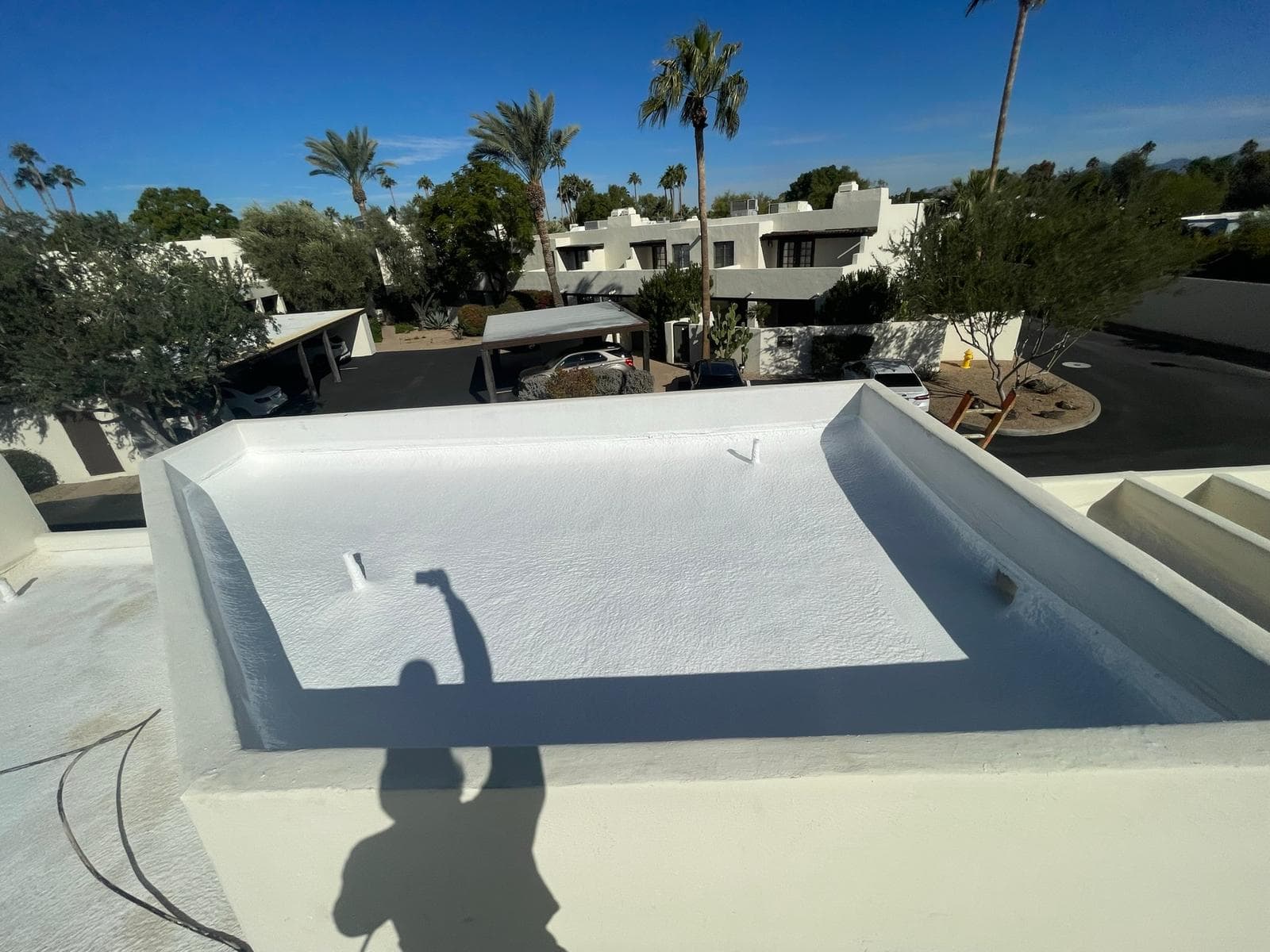 A white roof featuring a palm tree backdrop, designed by an Ironwood roofing contractor.